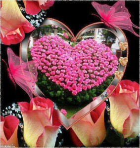 valentine's day