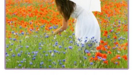 flowers photo tantric therapy/tantric tuition