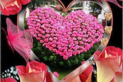 valentine's day